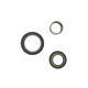 GM Dana 44 and Corporate 10 Bolt Spindle Seal and Bearing Kit, Upgraded